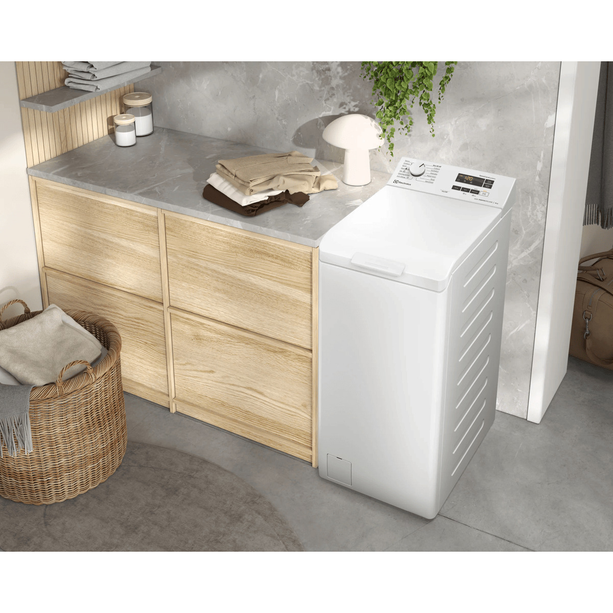 Electrolux EW6T57A washing machine Top-load – image 4