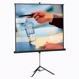 NEC Projecta ProView 145x145cm Matte White S – image 2