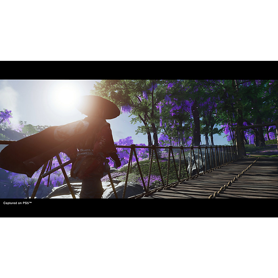 Ghost of Tsushima - Director’s Cut
