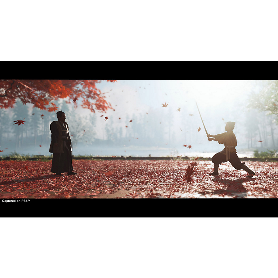Ghost of Tsushima - Director’s Cut