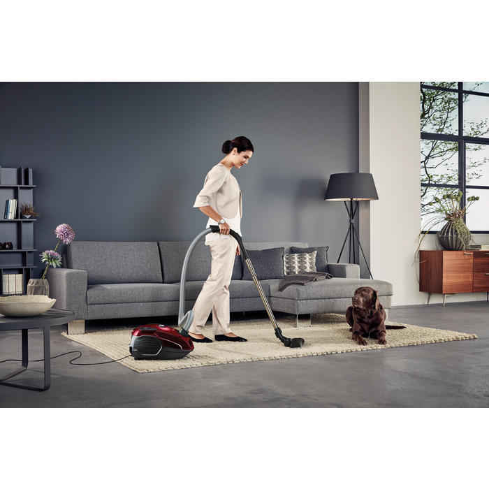 AEG VX6-2-CR 3.5 L Cylinder vacuum Dry 800 W Dust bag – image 3
