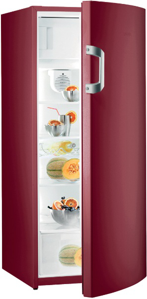 Gorenje RB6152BR combi-fridge Freestanding