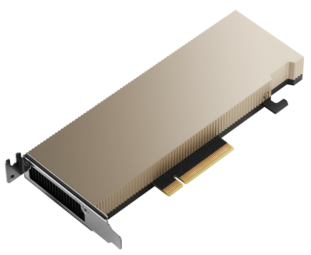 NVIDIA A2 - GPU computing processor - A2 - 16 GB GDDR6 - PCIe 4.0 x8 low profile - fanless - for ThinkSystem SR630 V2 7Z70, 7Z71, SR645 7D2X, 7D2Y