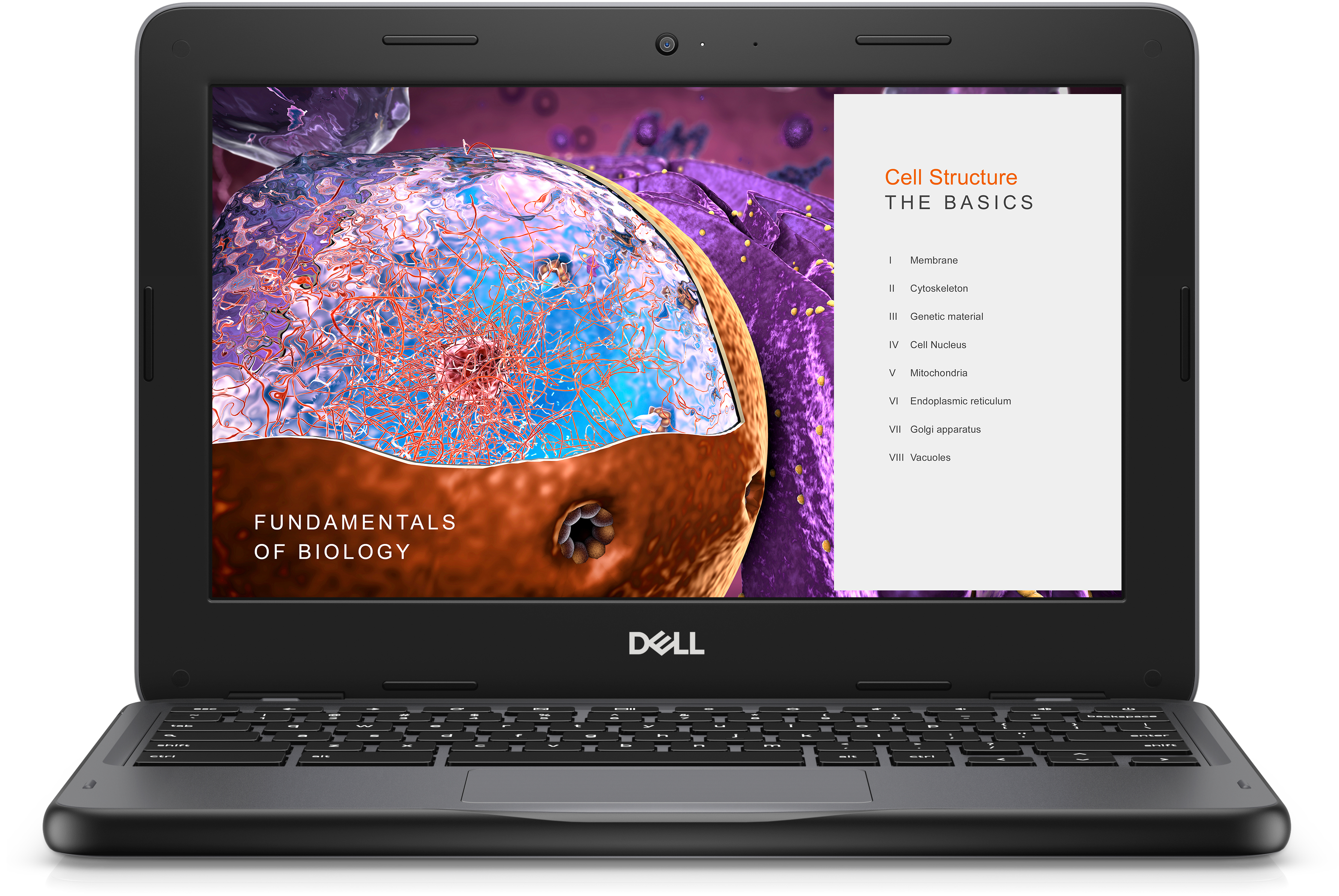 DELL Chromebook 3110 29,5 cm (11.6