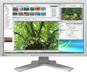 EIZO SX2461WH-GY computer monitor