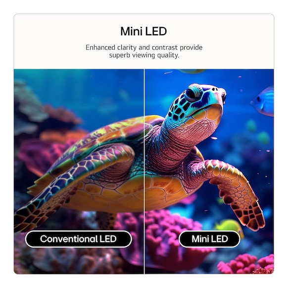 TV LG Mini LED QNED evo 50QNED87 127 cm 2026 — photo 5