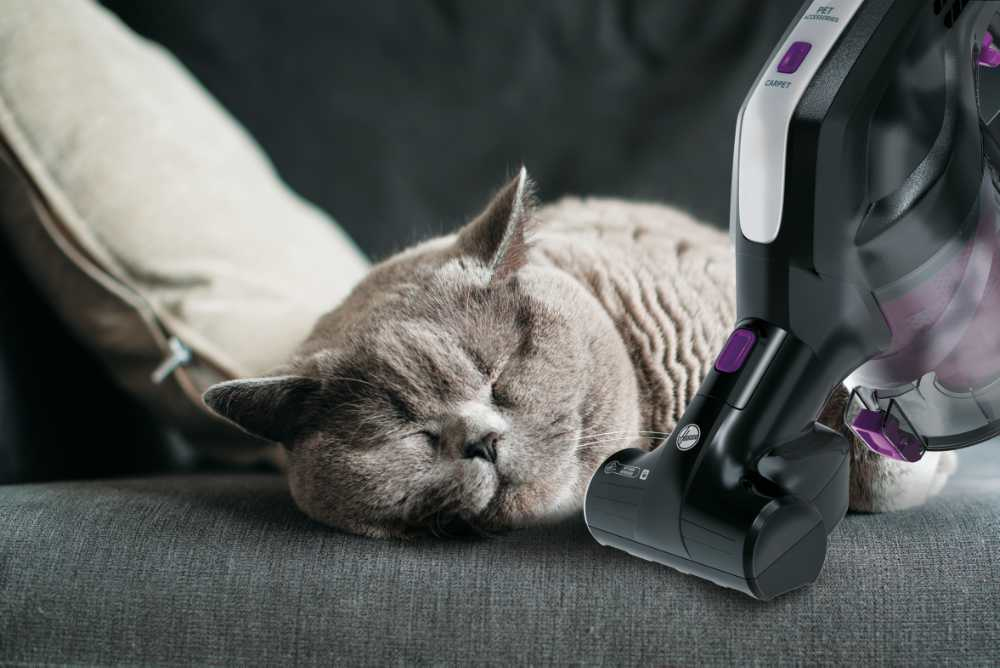 Hoover HF222MPT 001 – image 5