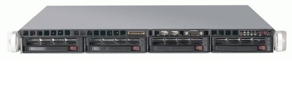 Ernitec VIKING-1UR-ACS-MAX server – image 2