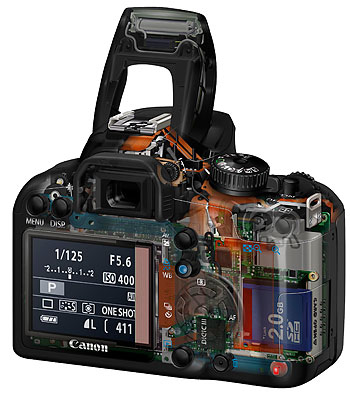 Canon 1000D + EF-S 18-55mm + EF 75-300mm – image 4
