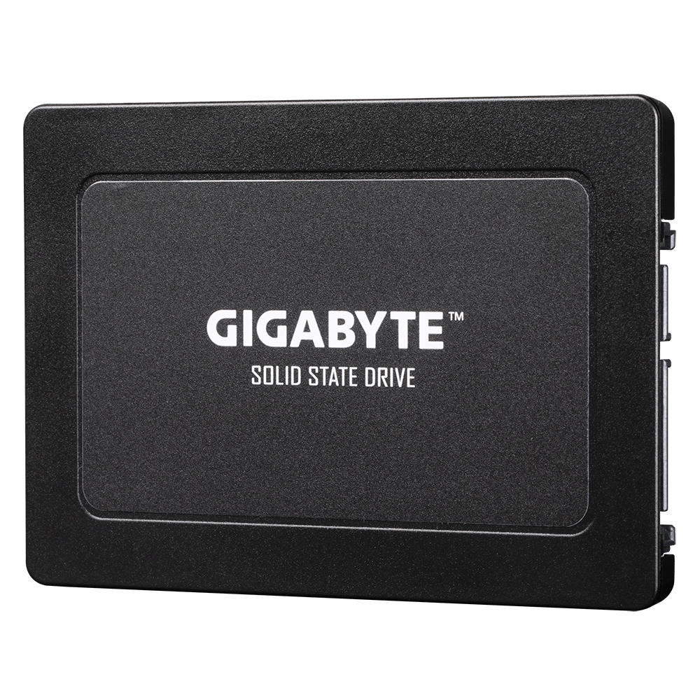 GIGABYTE GP-GSTFS31960GNTD-V internal solid state drive – image 3