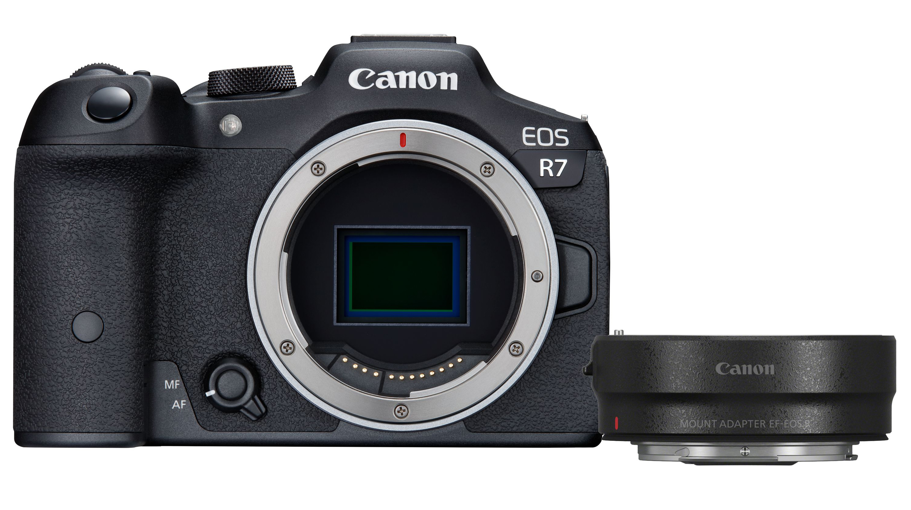 Canon EOS R7 + EF- R MILC Body 32,5 MP CMOS 6960 x 4640 Pixel Schwarz