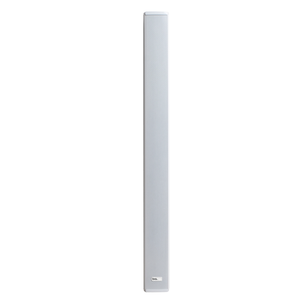 Biamp Desono COLS101 2-way White Wired