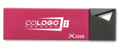 Kingston Technology Mini 3.0 16GB Co-Logo