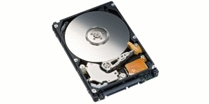 Fujitsu MHZ2500BT - 500 GB, 2.5", SATA, 4200 RPM