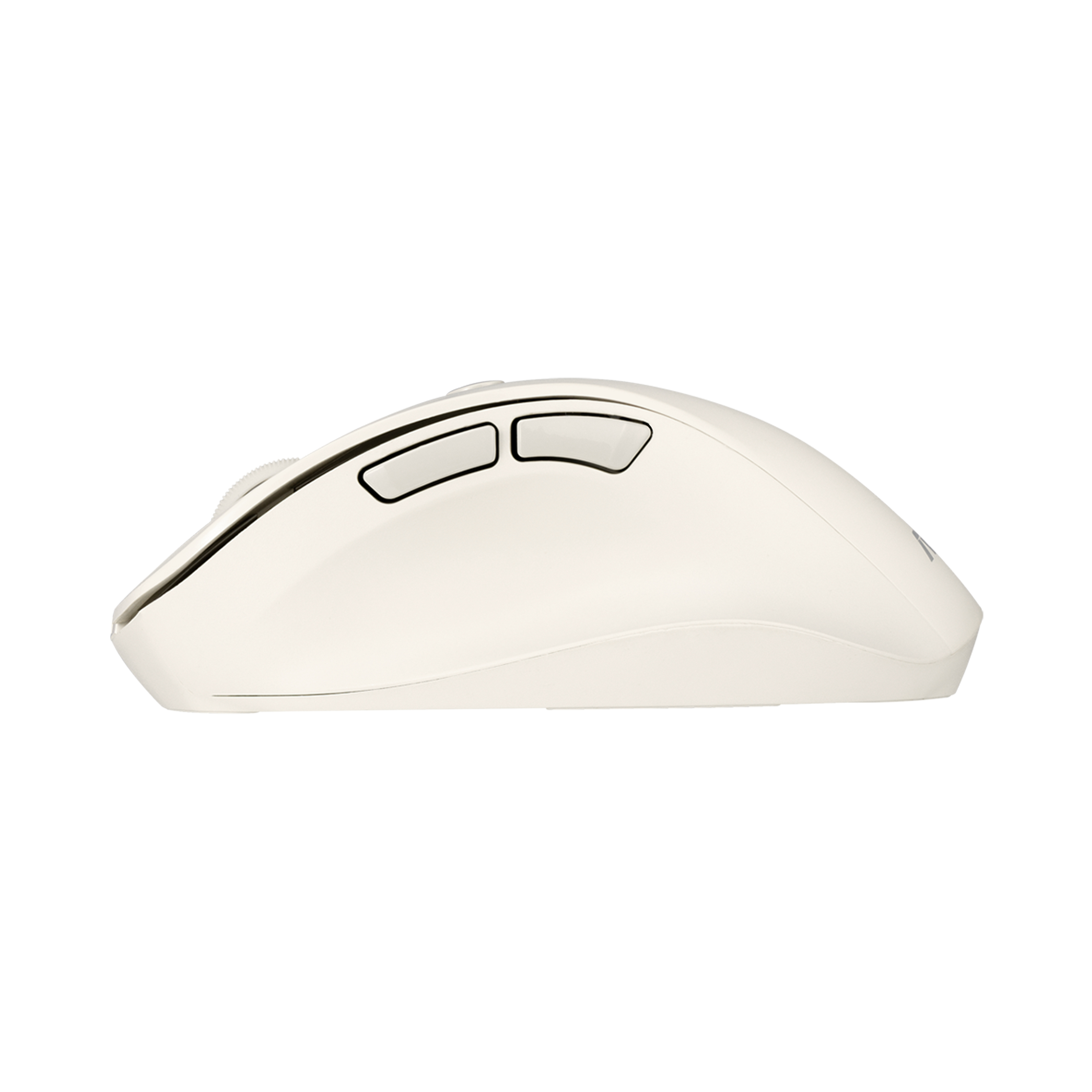 ASUS MD105             Maus wireless 2400dpi Milky White Zubehör