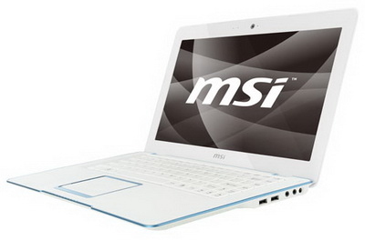 MSI X-Slim Series X410-006UK laptop AMD Athlon MV-40