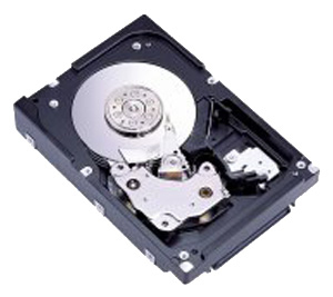 Fujitsu MAU3073FC internal hard drive