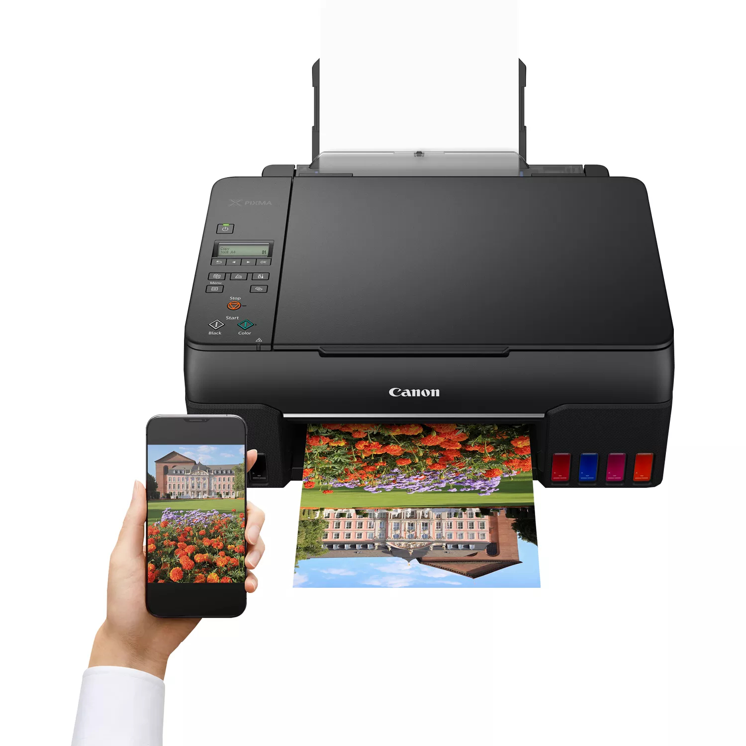 Product Gallery