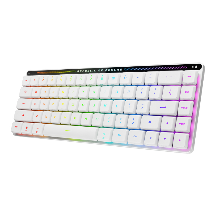 Product Gallery