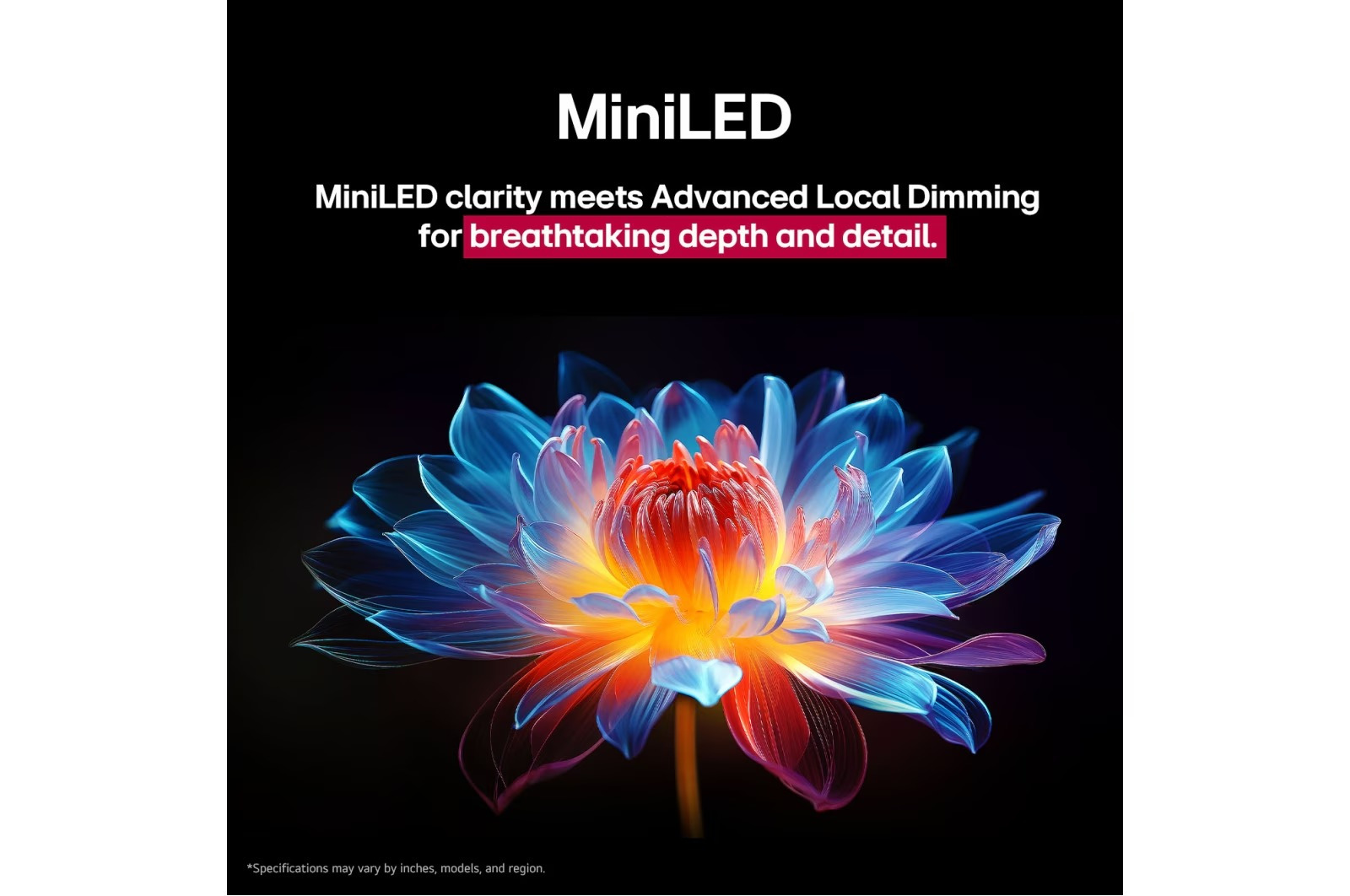 LG QNED evo AI 65QNED9MA3B TV – image 5