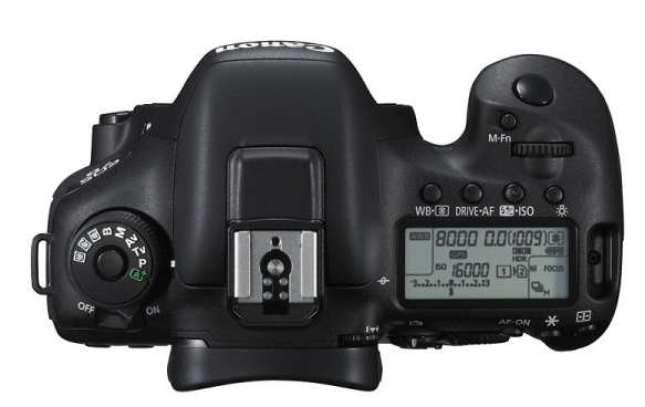 Canon Eos 7D Mark II + EF-S 18-135mm f/3.5-5.6 IS STM – image 3