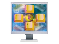 NEC LCD1960NXI MONITOR TFT 19 1280*1024@75HZ SIPS-PANEL HGT.INSTELBAAR