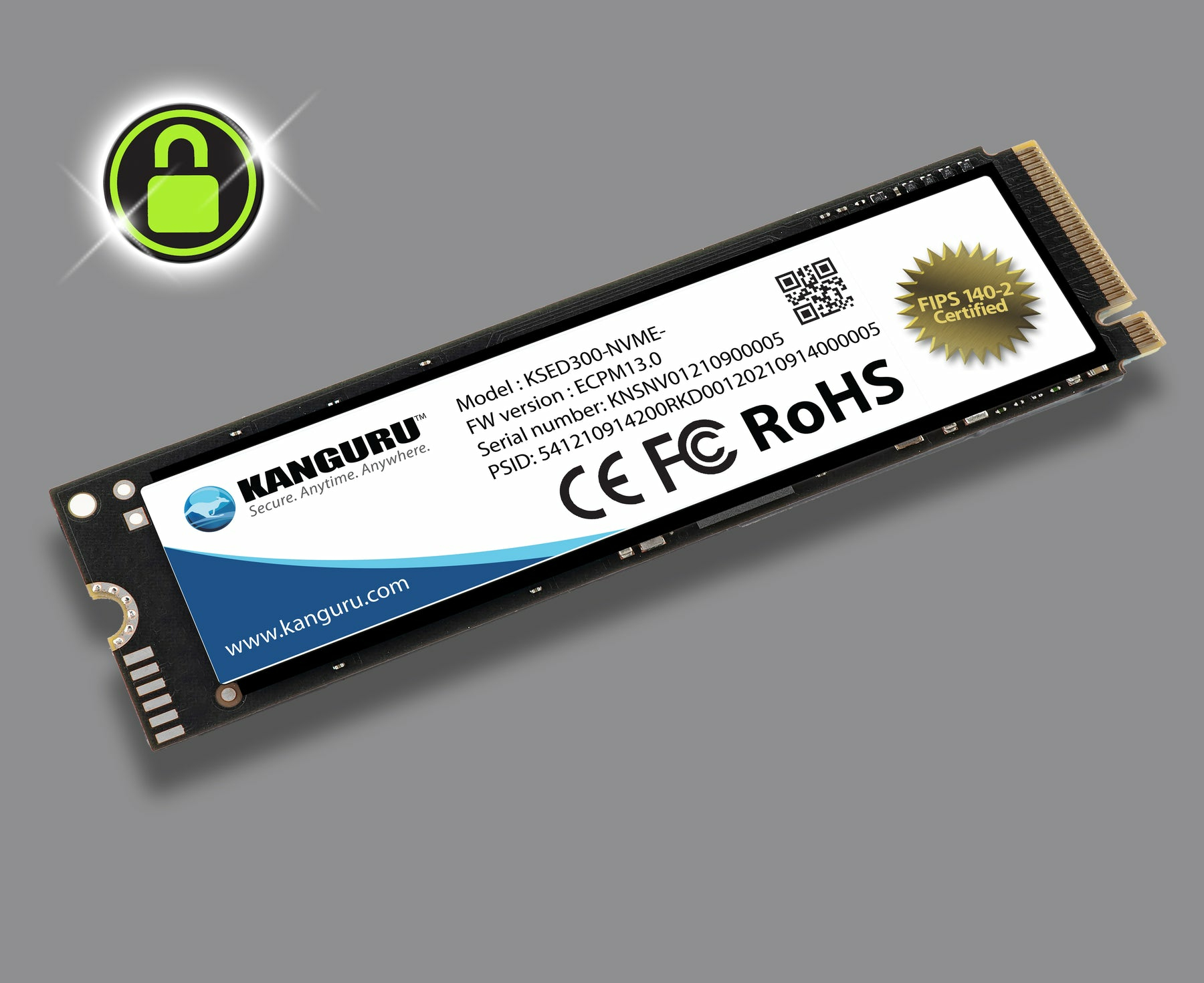 iStorage Kanguru Defender SED300 Hardware-Based Self-Encrypting Internal SSD 1 TB|FIPS 140-2 Certified | M.2 2280 Internal | PCI Express NVMe (PCI Express NVMe 4.0 x4) | TAA Compliant image 5
