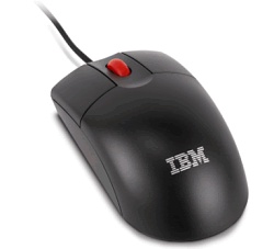 Lenovo IBM Optical Wheel Mouse - USB