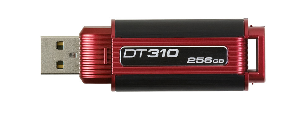 Kingston Technology 310 256GB – image 4
