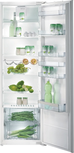 Gorenje RI5181PW fridge Built-in