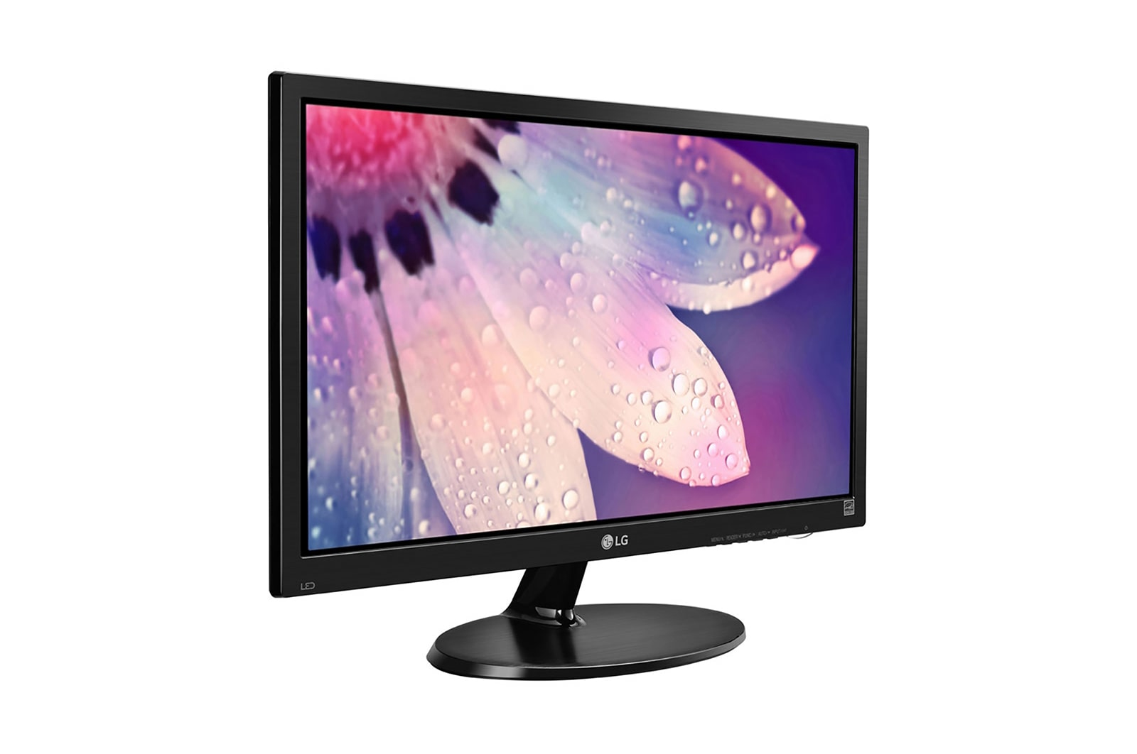 LG 19M38H-B computer monitor – image 4