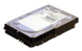 Hypertec 146GB SAS 15K