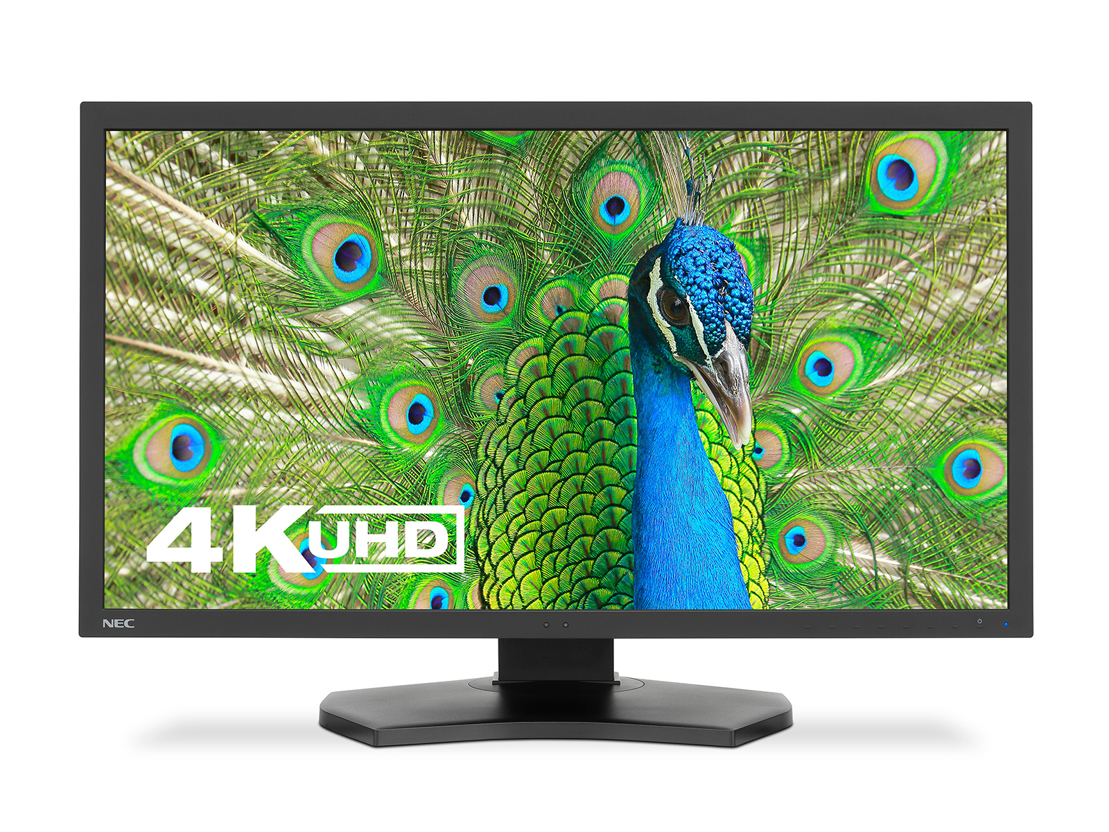 NEC MultiSync PA311D computer monitor – image 3