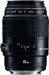 Canon EOS 40D + EF 100mm f/2.8 Macro USM + MR-14EX Macro Ring Lite – image 3