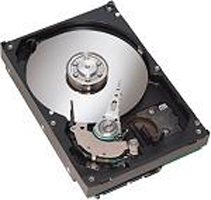 Lenovo DS4200 1TB, 7200 RPM SATA
