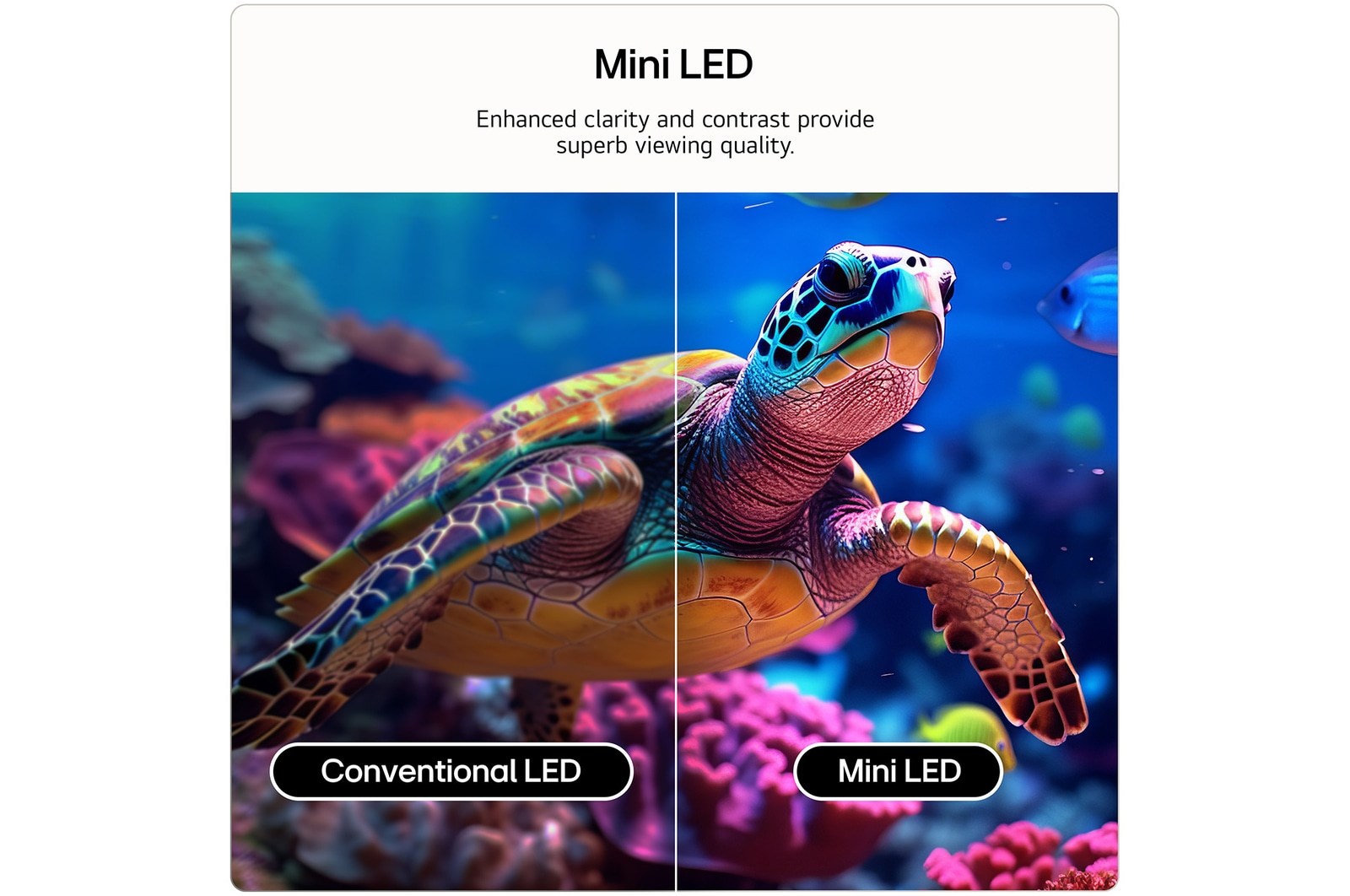 LG QNED AI MiniLED 43QNED70B6C TV – image 5