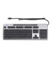 HP USB Easy Access Keyboard (Carbonite/Silver)