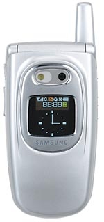 Samsung P510 92 g Silver