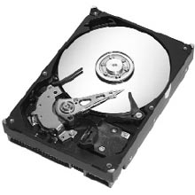 Seagate Barracuda 7200.8 300GB 20pk