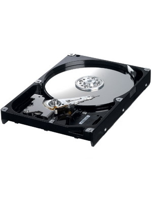 Samsung Spinpoint S HD081GJ internal hard drive