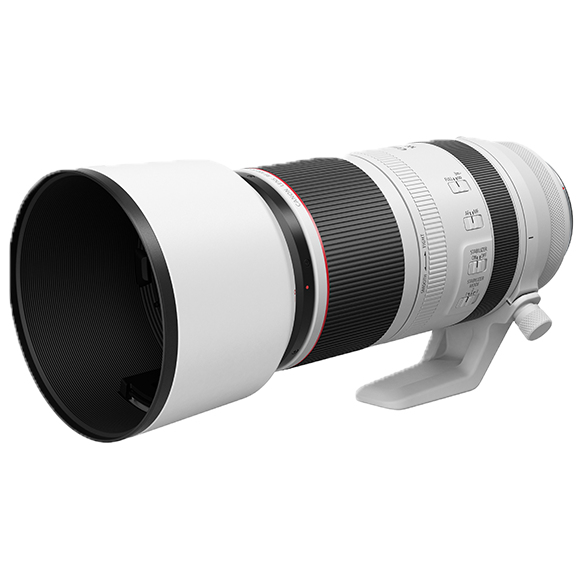 Canon RF 100-500mm F4.5-7.1 L IS USM – image 2