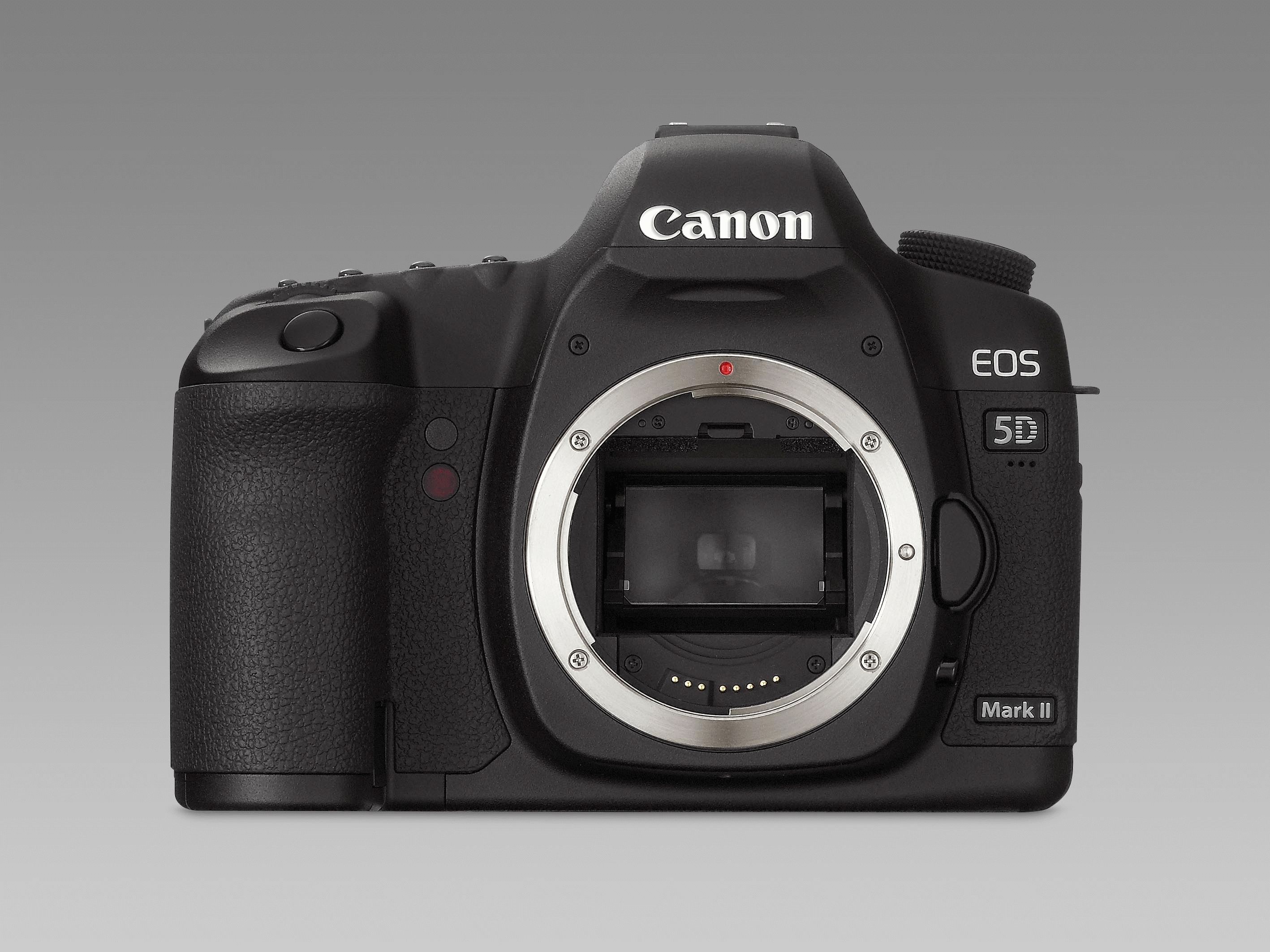 Canon 5D Mark II + 270EX – image 5