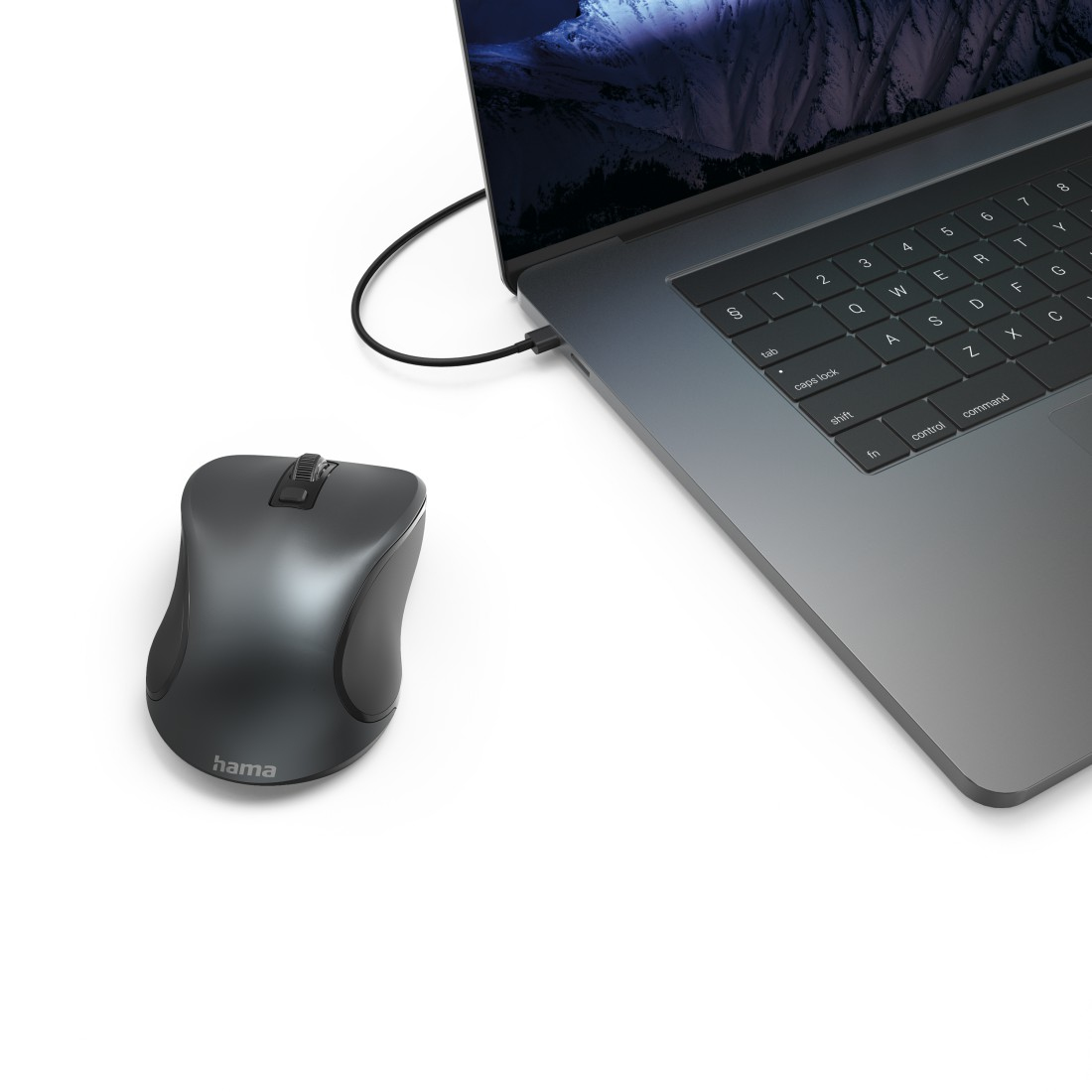 Hama Canosa V2 – image 5