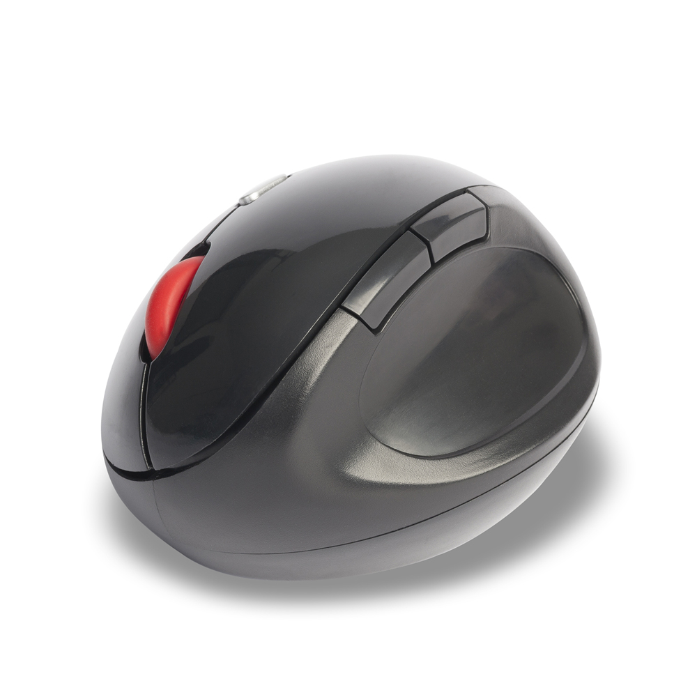 NGS EVO Ergo – image 2