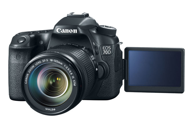 Canon 70D + EF-S 18-135mm – image 6