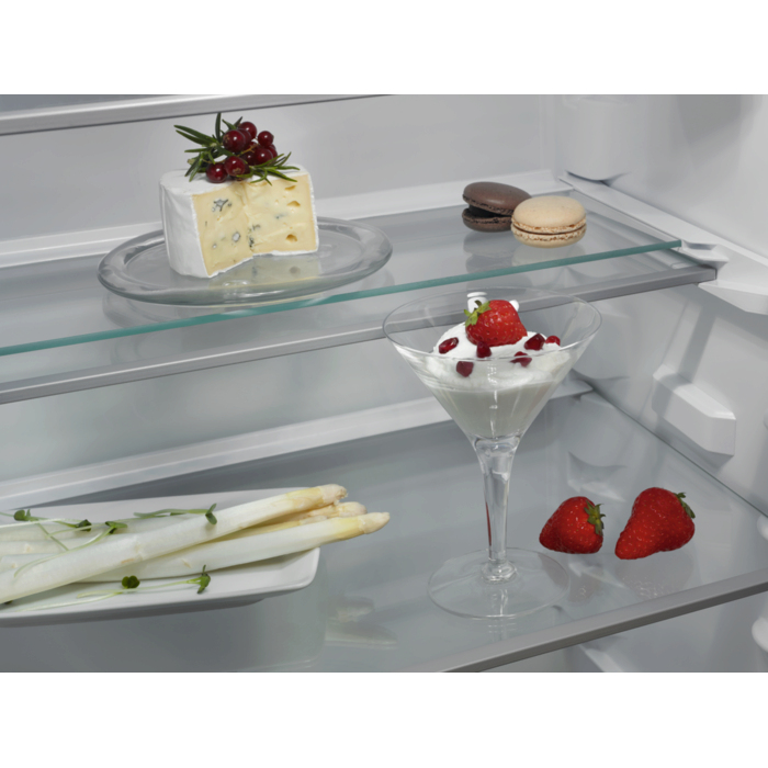 AEG TF6FS181DC combi-fridge Built-in – image 4