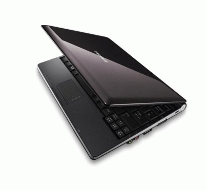 Samsung NC10-anyNet N270BH – image 2