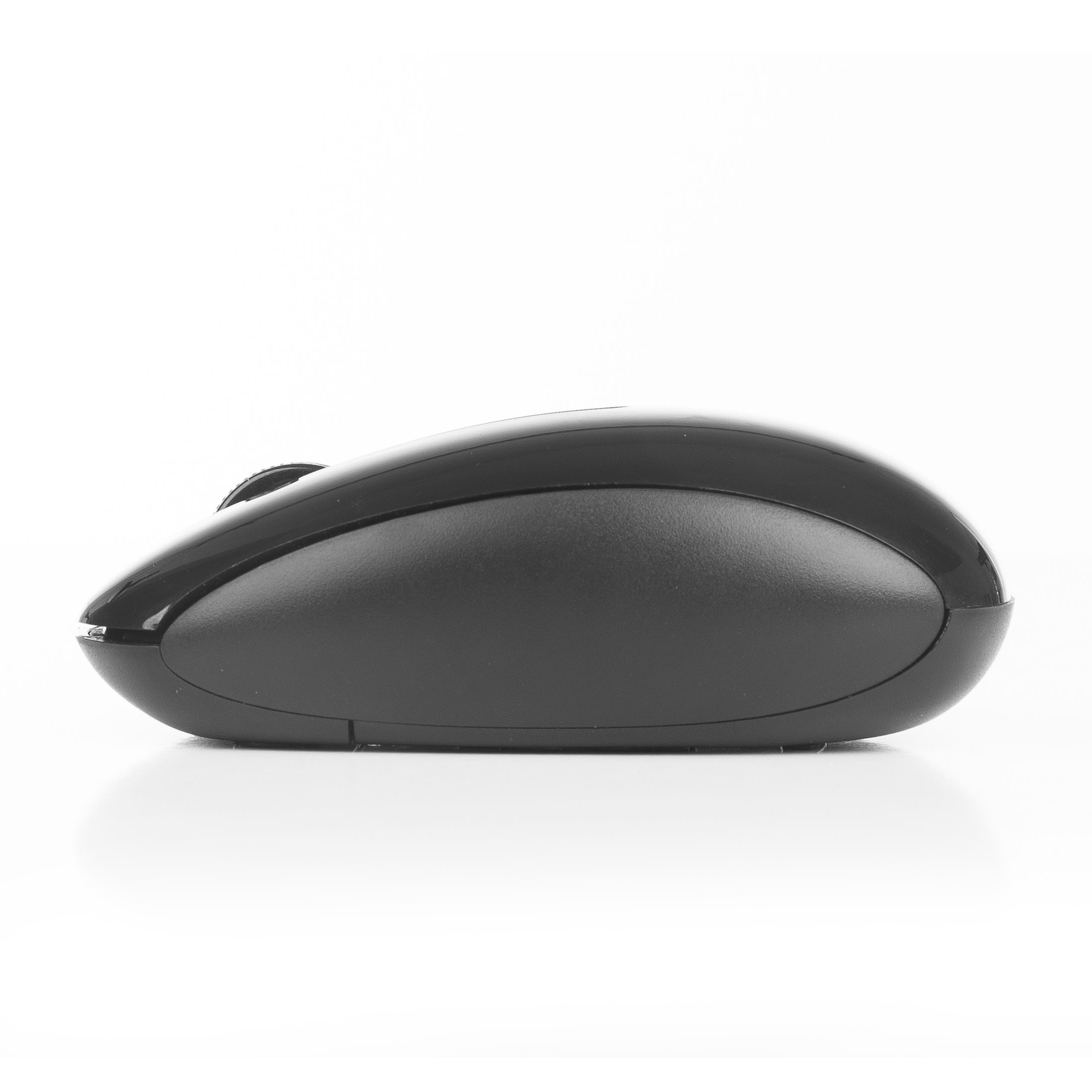 NGS Vetusta Kit – image 4