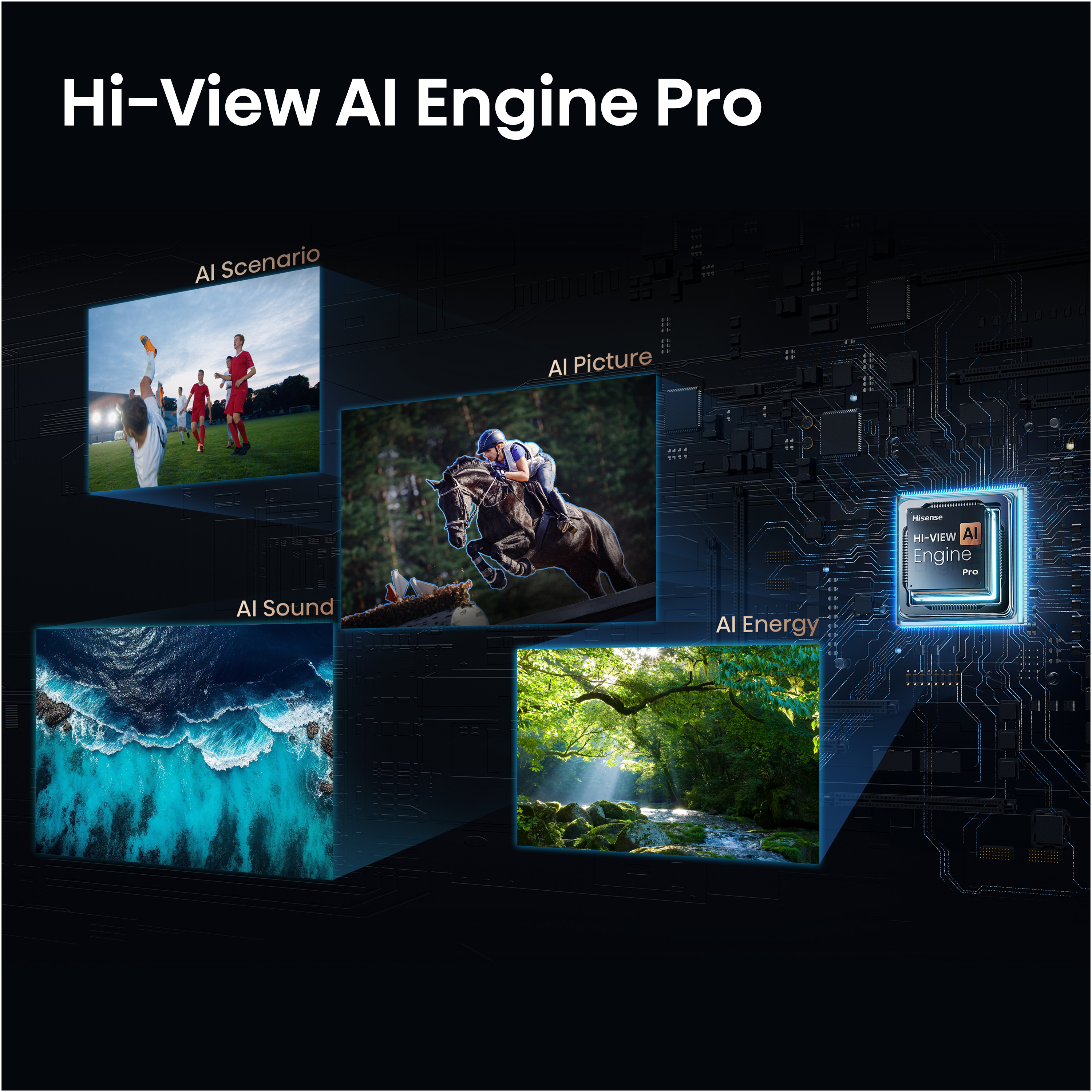 Product Gallery