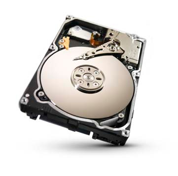 Seagate ST91000640SS-40PK internal hard drive